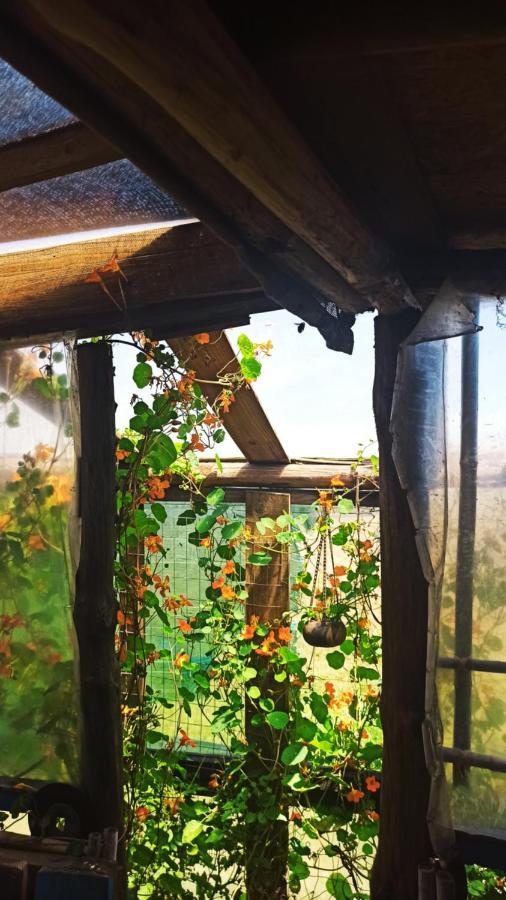 Bunker Hostel Cabo Polonio Bagian luar foto